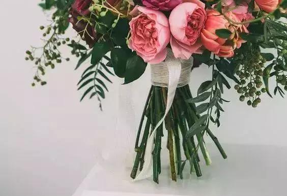 家里过期的消炎药养花有用吗,哪些过期药能用来养花