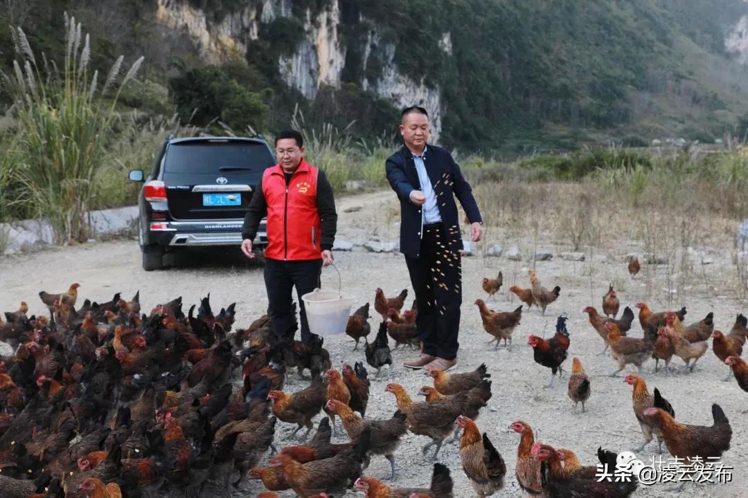 李华志：“猪师兄”变身“蛙司令”