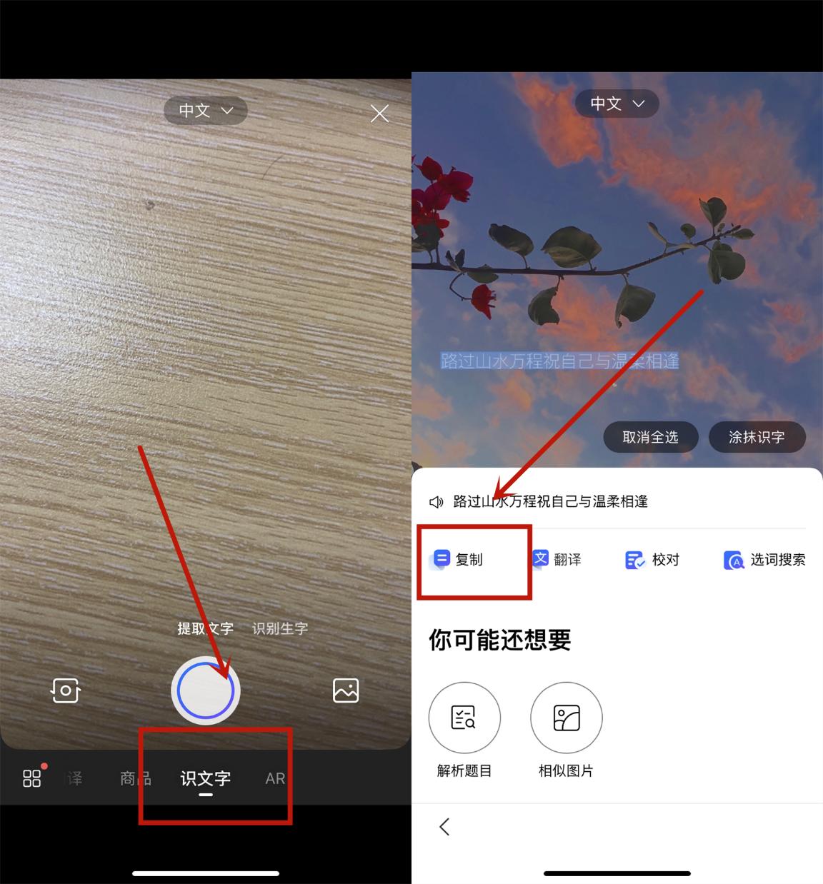 手机拍图片扫描提取文字免费,手机如何扫一扫提取图片中的文字