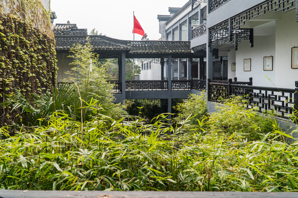 踏春赏花拍美景,踏春赏花逛湖