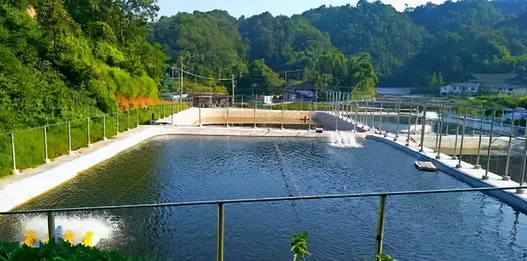 白露养虾的正确方法,白露节水产养殖方法