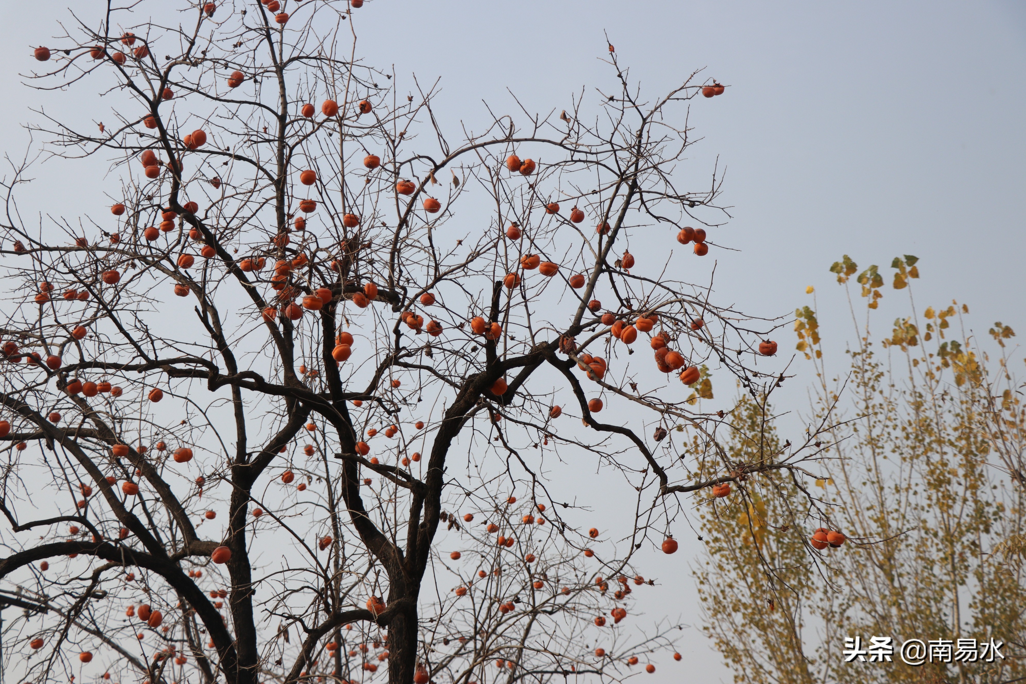 家乡风景带你一起感受自然的味道,令你难以忘怀的家乡的味道
