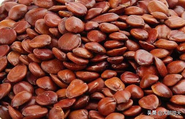 红枣加什么喝水能治失眠,失眠严重整夜睡不着食疗