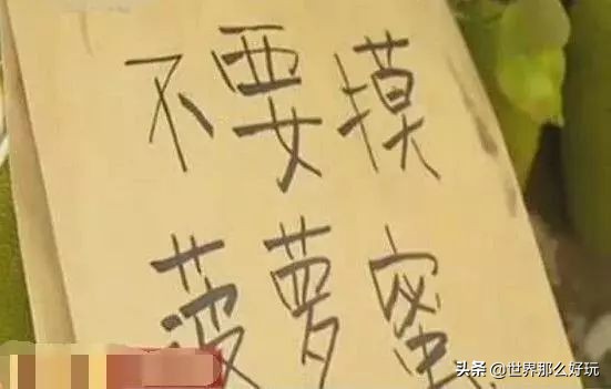 让外国人无语的中国标语 (国外有哪些中文标语)