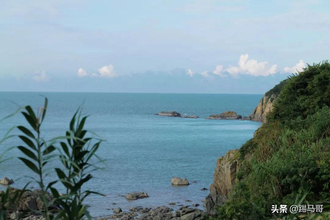 上海附近有哪些露营地可以看星星,上海周边免费露营地推荐人多