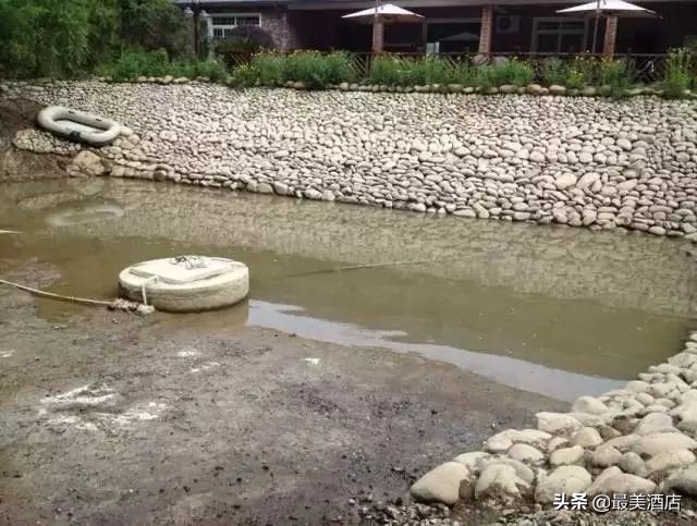 为一姑娘,10年他把30亩荒地打造成梦想家园,让人懂得真爱的意义