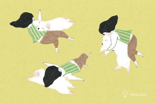 狗狗冷知识大合集视频,狗狗冷知识狗粮