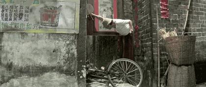 洪金宝为什么要跟林正英拍电影,洪金宝与甄子丹这部高分动作电影