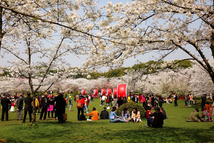 鑻遍泟褰掓潵妯辫姳鏈夌害,妯辫姳鐩涘紑鑻遍泟褰掓潵瀹屾暣瑙嗛