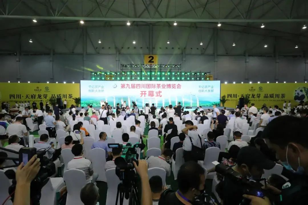 中国茶叶出口销量,云茶与大益