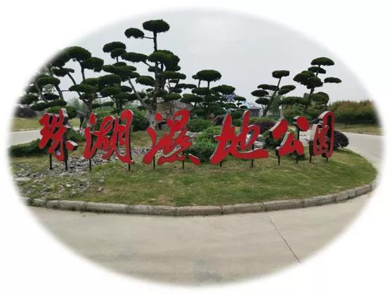 水调歌头湖心亭看雪,水调歌头荷花