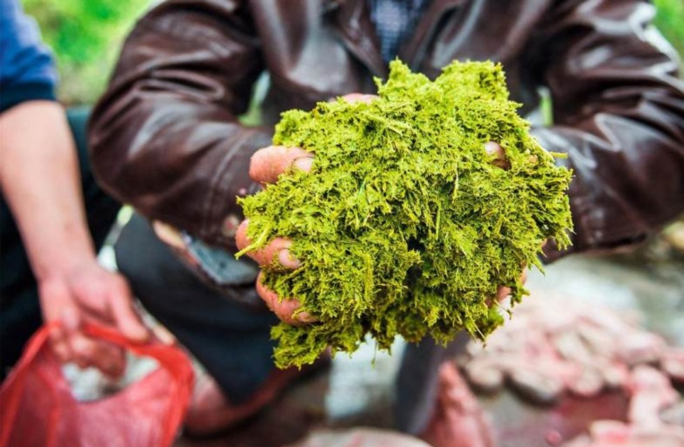 重口味伤肝还是伤肾,重口味伤肝吗