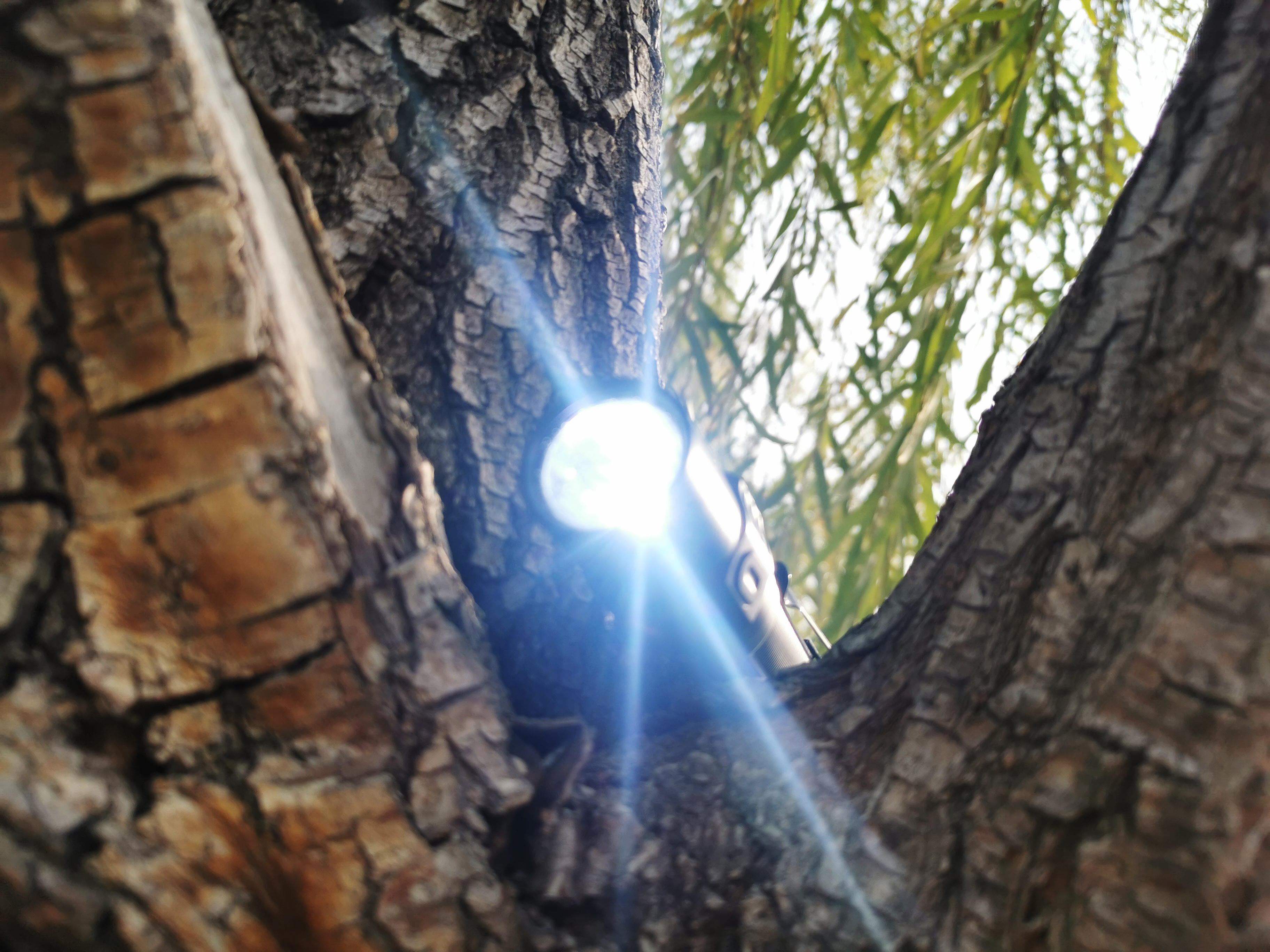 户外手电也能杀菌?FenixLD32手电化身成为抗疫EDC