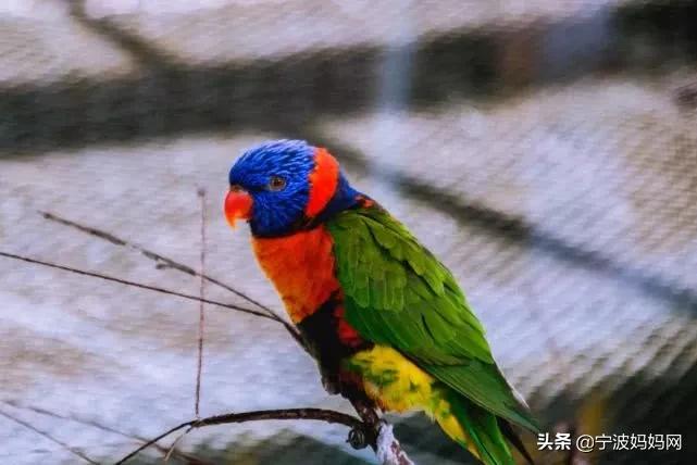 疫情结束后要在广州做的30件事,疫情结束后在武汉做的100件事情