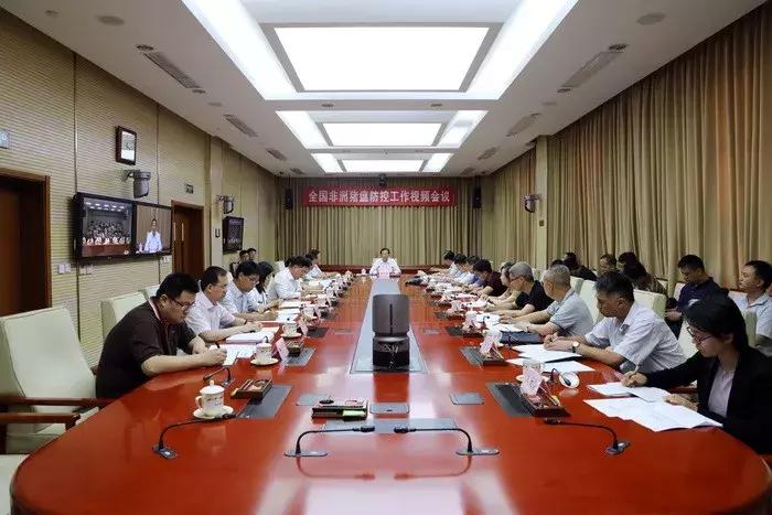 “炒猪”团伙再现,二师兄命途多舛,但身价节节攀升