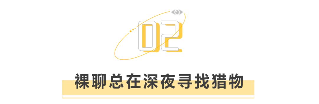 仙人跳小伙会功夫,仙人跳男生搞笑视频