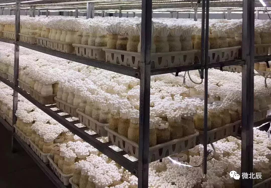 亿元村河南,亿元村信息