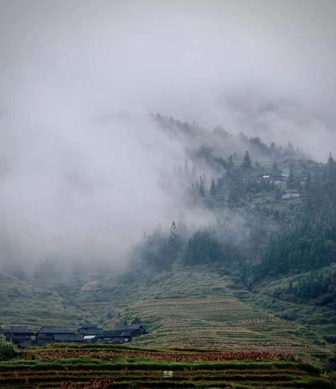 农造田野丨总有一根神经通往乡野|月亮山百里梯田