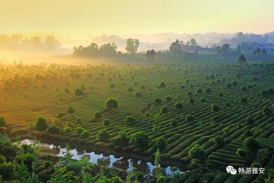 雅安4天旅游攻略最新版,五一去雅安的攻略
