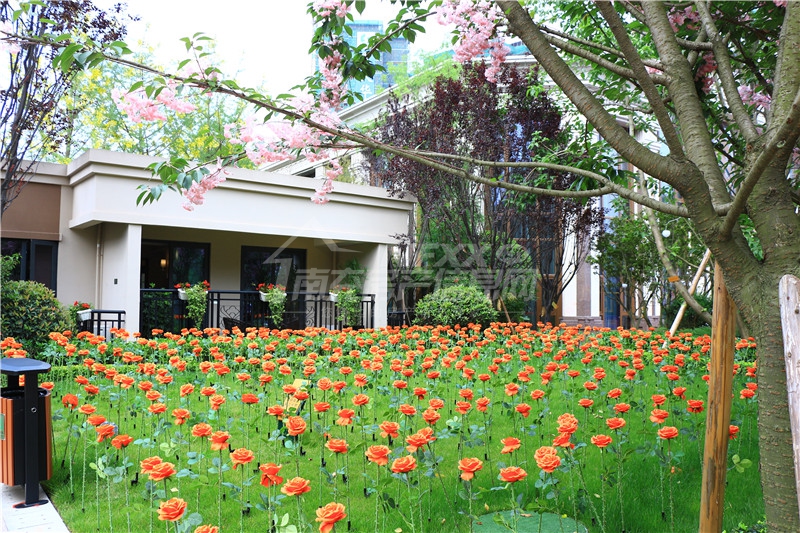 四川南充恒大御龙天峰何时复工,南充恒大御龙天峰交房时间表