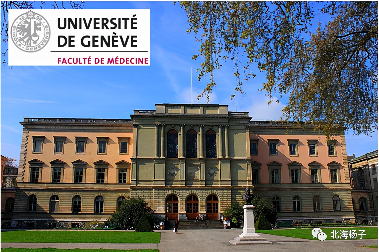 中国气候宜居城市2021,2021亚洲最宜居城市