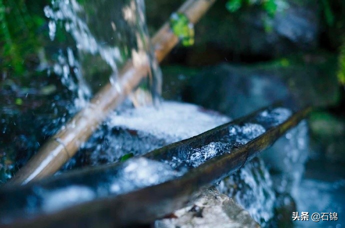 时光如水流一去不回头的诗句,流水惆怅古诗