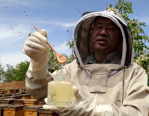 青果泡糖可以保存好久,青果泡冰糖能放多久