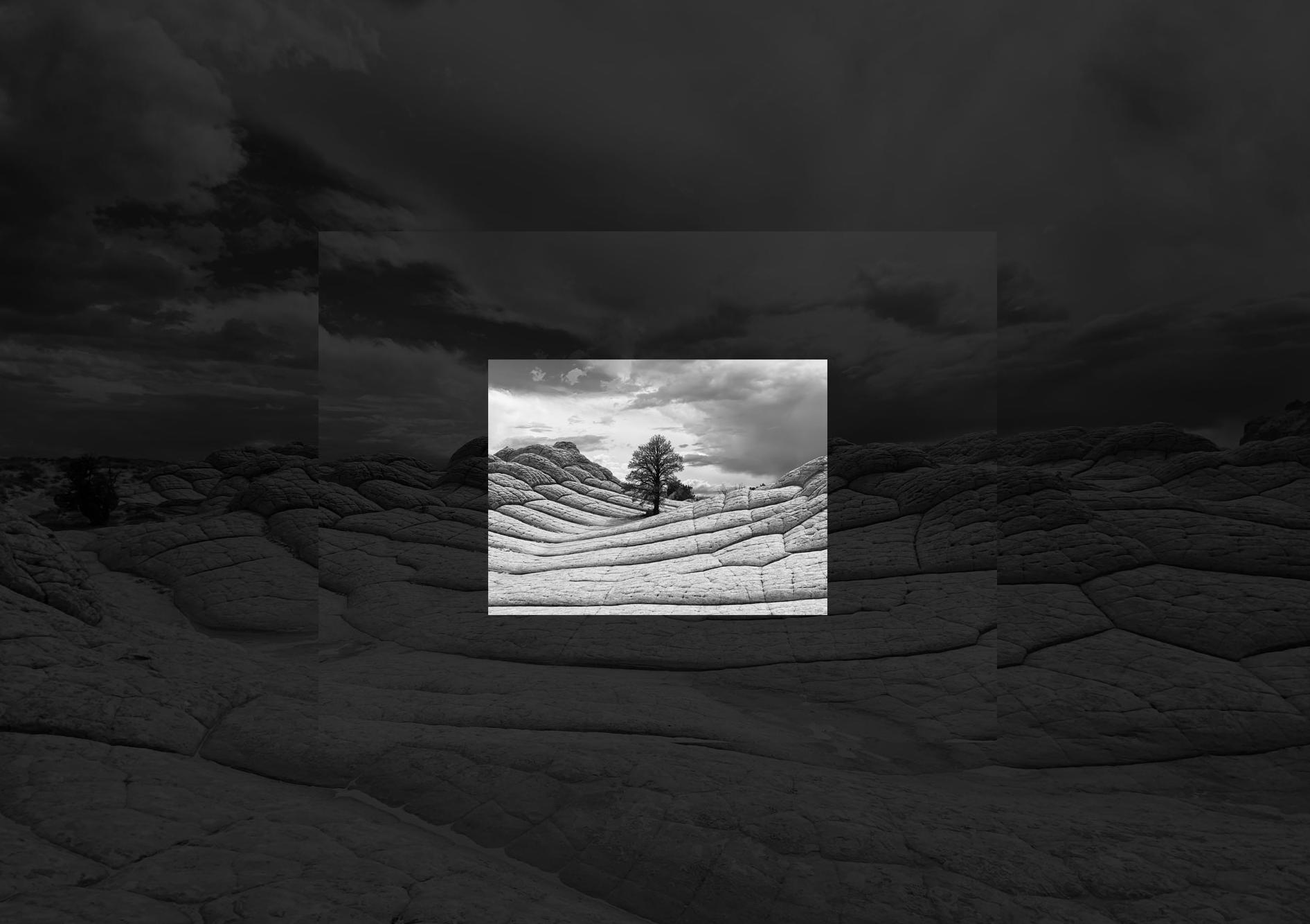 手机拍摄技巧iphone入门,0基础学会iphone拍摄技巧