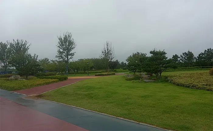 “野蛮人”在威海：宝能逍遥湾的一盘大棋