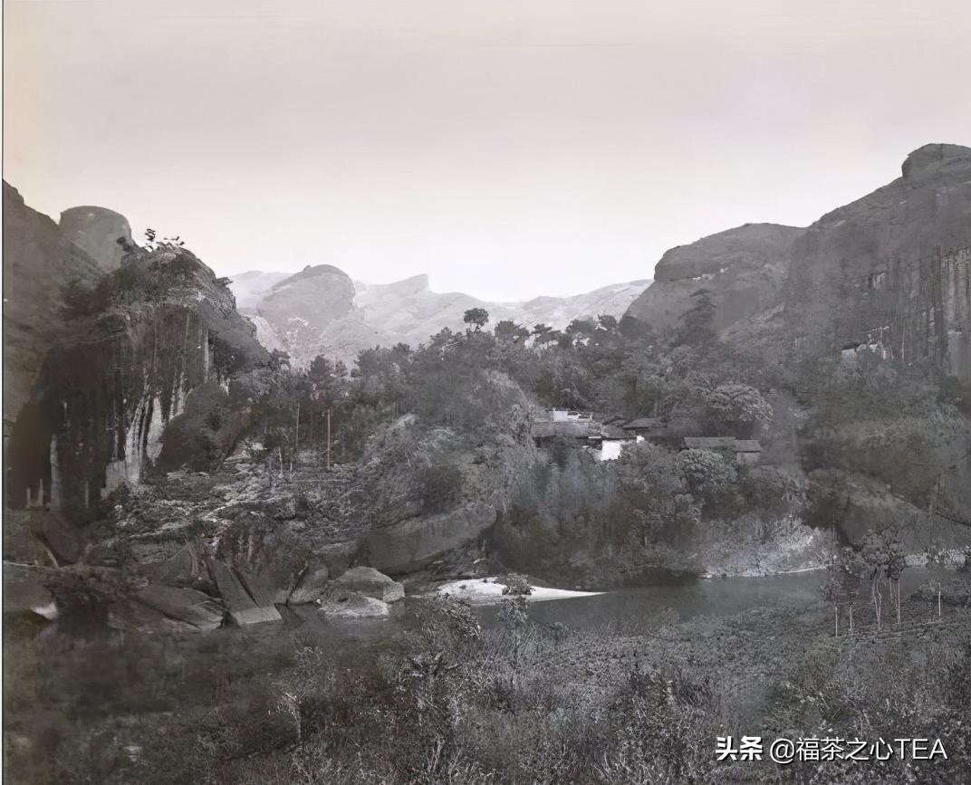 岩茶价格到底贵不贵？——从历史岩茶价格看当今岩茶价格