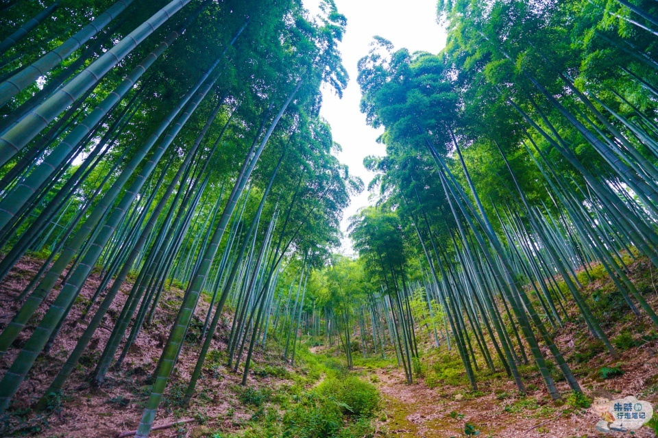 安吉旅游自由行,玩转安吉旅游