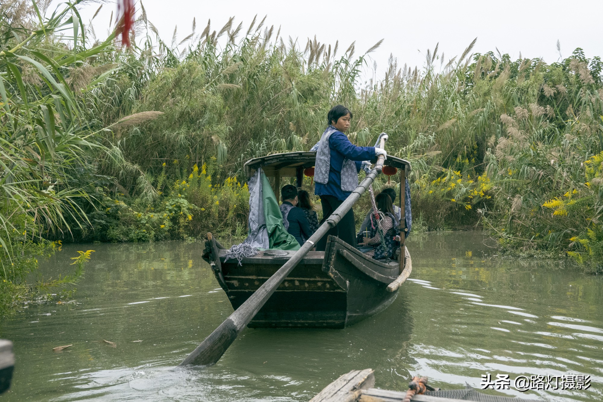 沙家浜江南美景,常熟芦苇荡螃蟹
