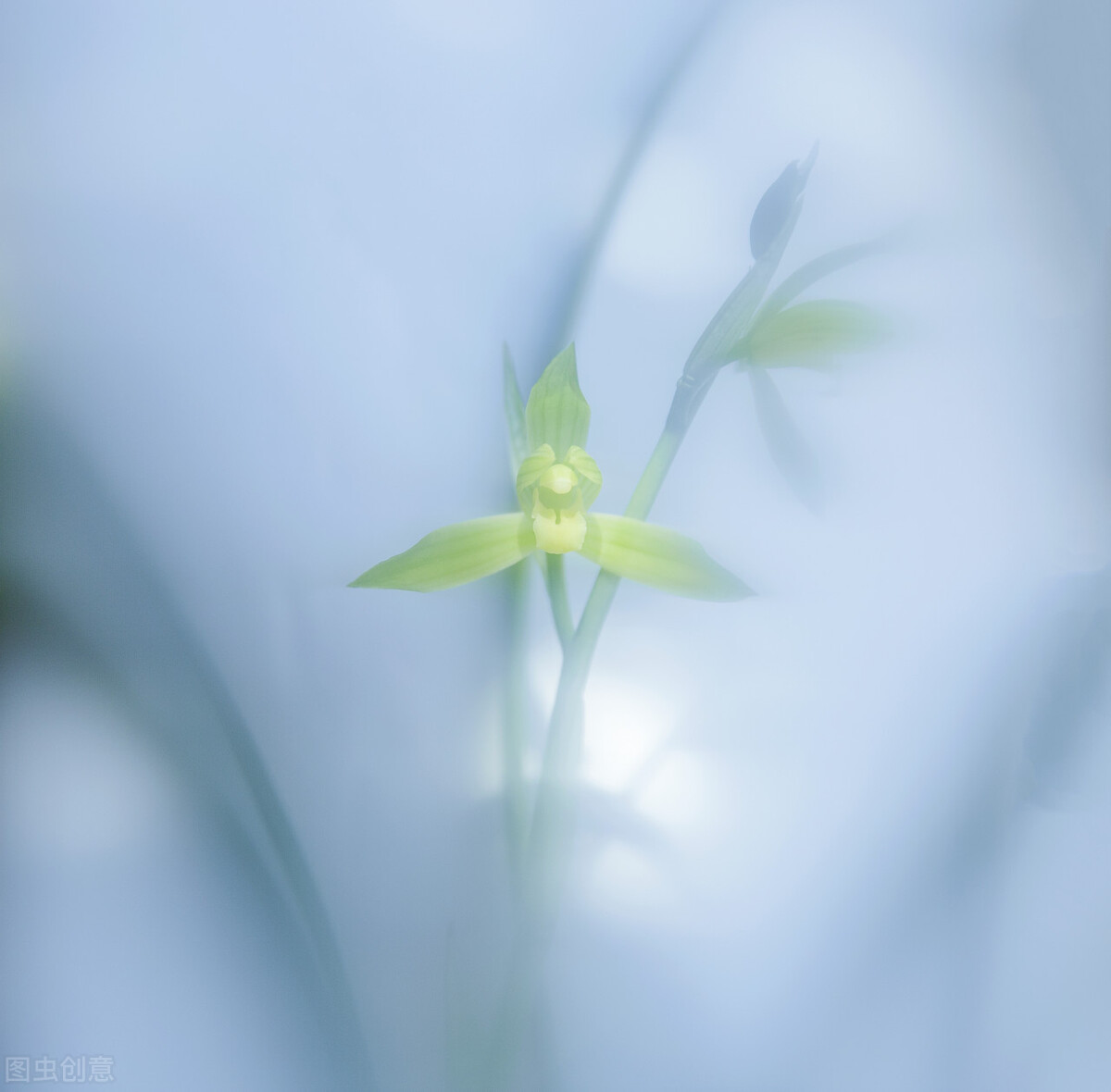 浮云吹作雪世味煮成茶下联的意思,浮云吹作雪世味煮成茶是什么意思