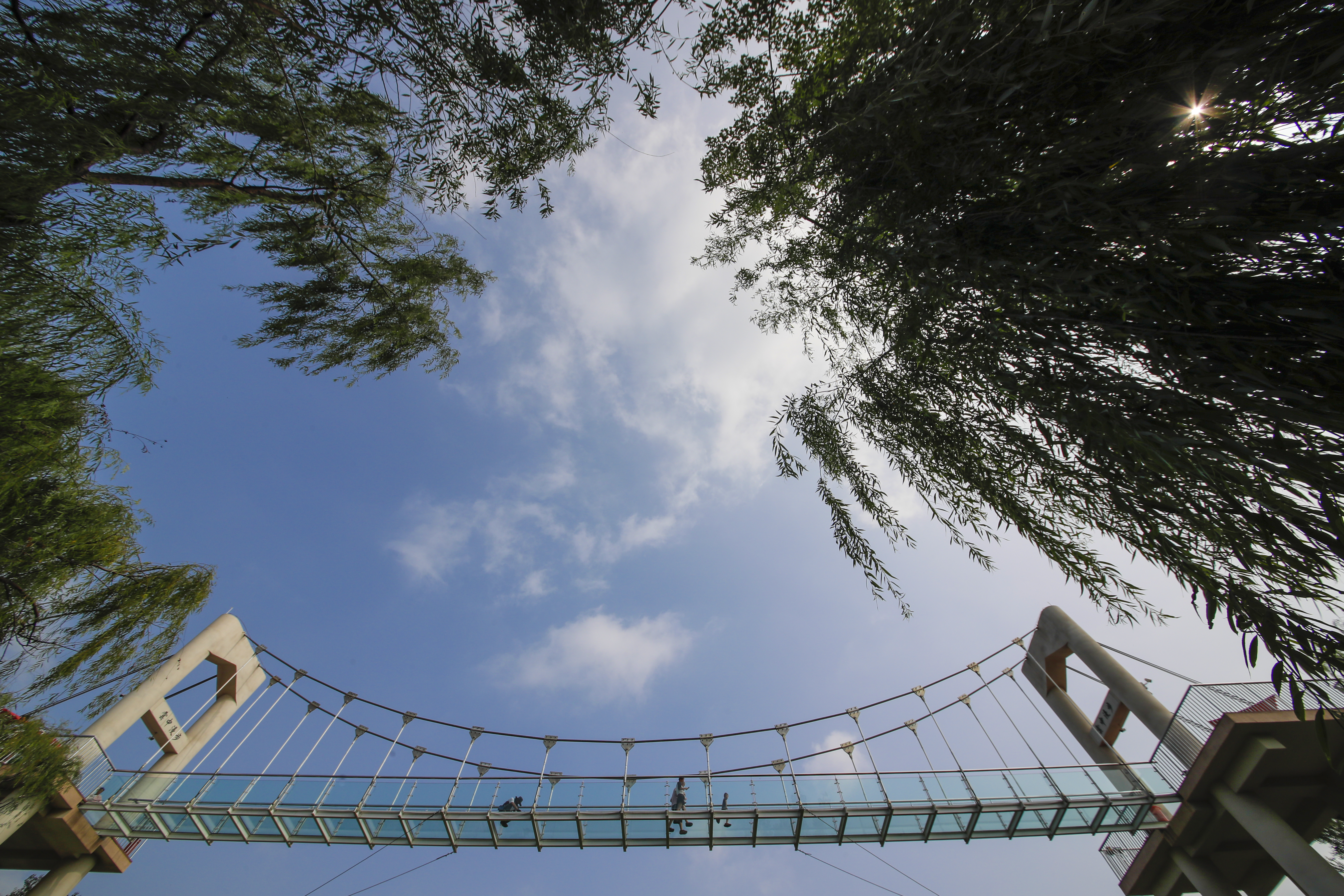 聊城姜堤乐园和周公河乐园哪个好,聊城姜堤乐园附近景区