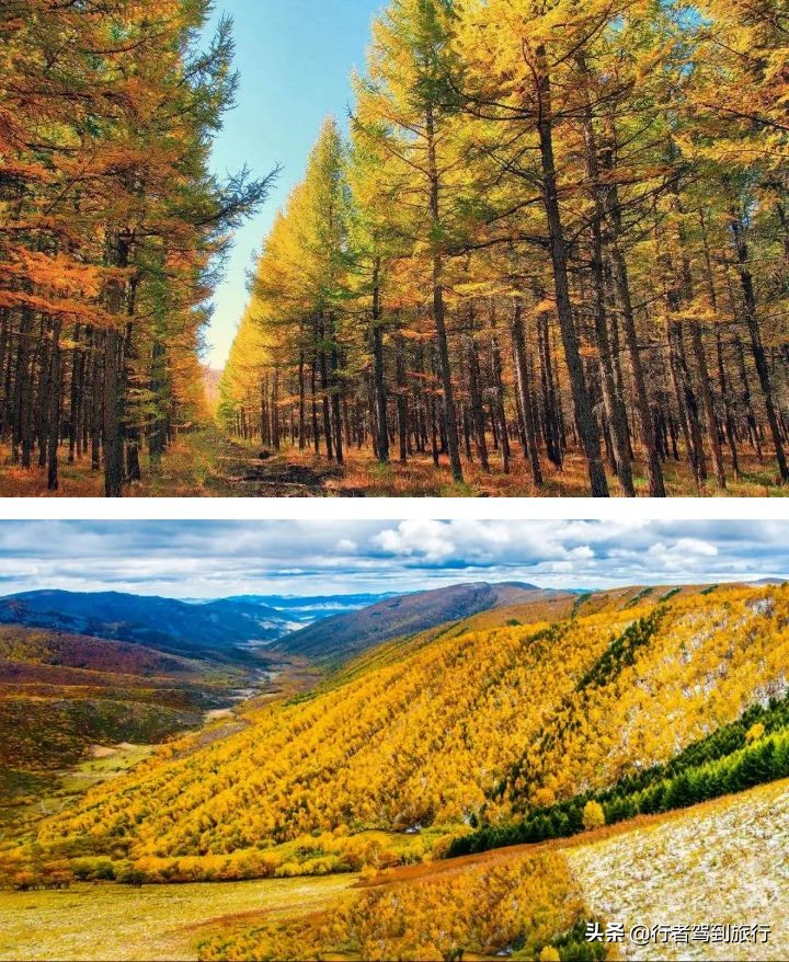 冬季克旗旅游自驾游攻略,克什克腾旗看秋色攻略