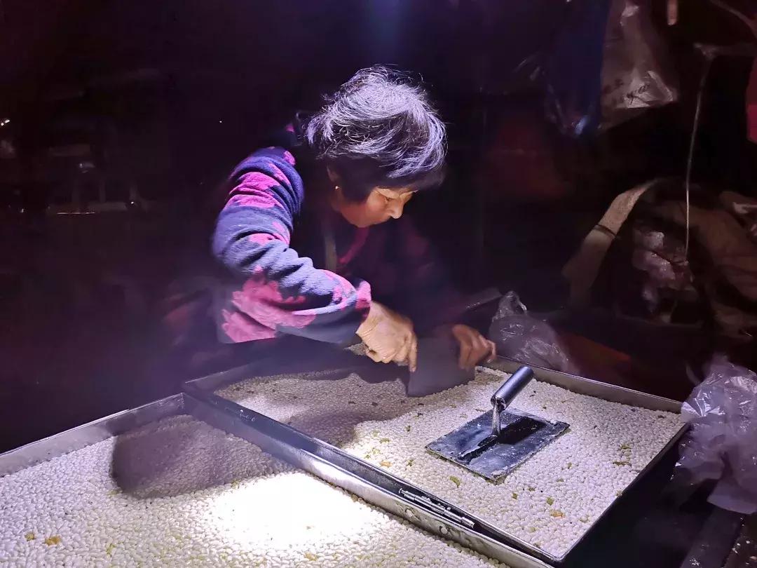 年味不够？“大片”来凑！看这群浙师人怎么帮你找回记忆中的春节