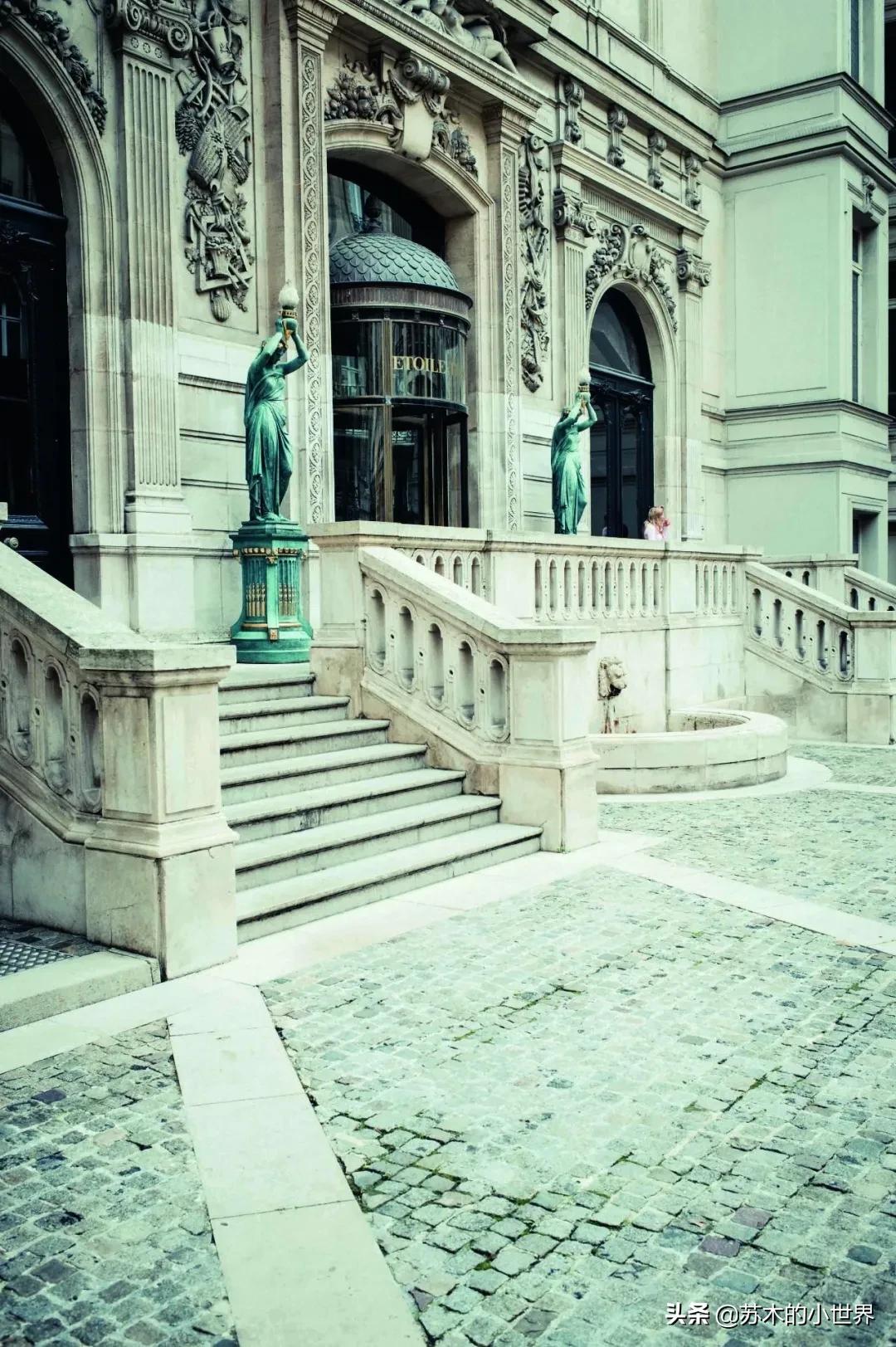 头皮护理用什么洗发水最好,油性细软扁塌洗发水推荐2021年