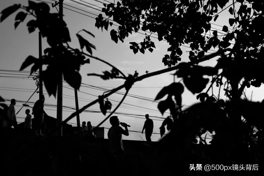 襄河人家令人神往：养几只土鸡、猫狗和一些花草…何等美好的生活