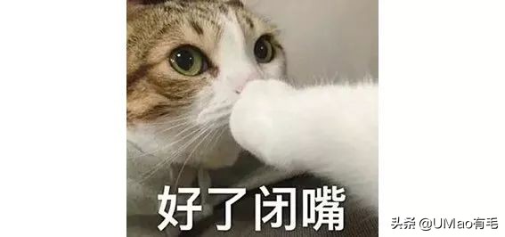 关于弓形虫你所不知道的一切,被弓形虫刷屏的视频