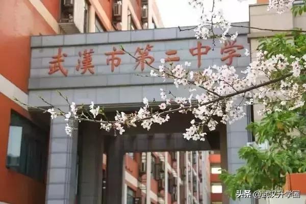在武汉上学有哪些好的学校,武汉有哪些是比较好的高中学校