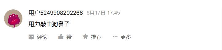 告诉孩子被狗咬怎么自救,如果小孩被狗咬怎么自救