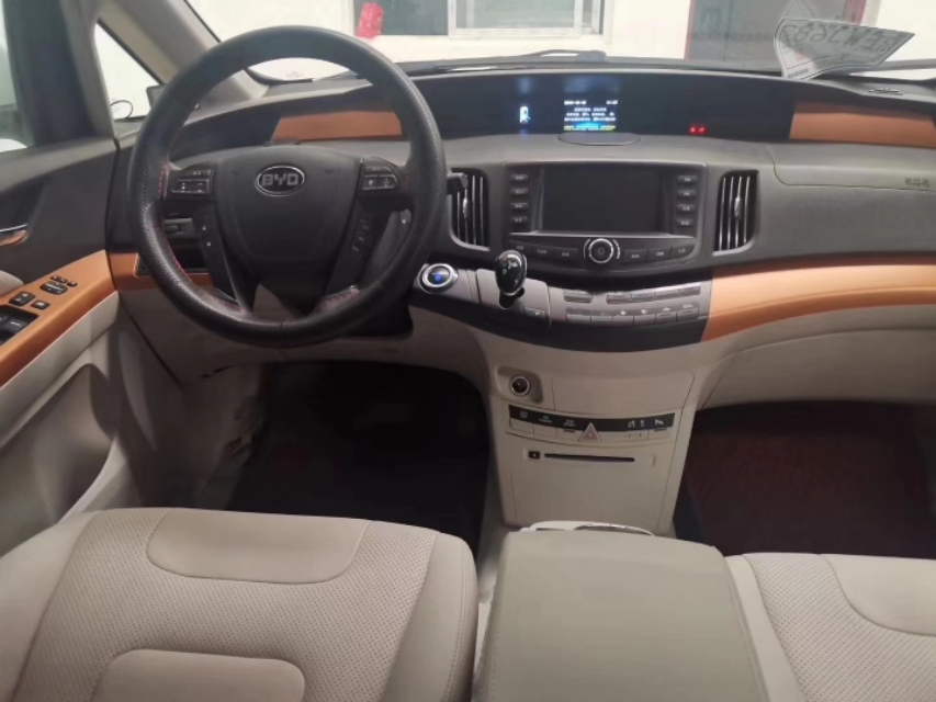 多种新能源,新能源汽车牌照样式