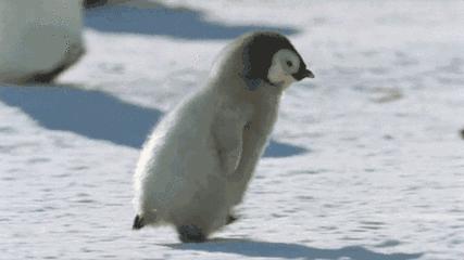 强冷空气已至秋裤羽绒服安排起来,冷空气突袭羽绒服穿搭