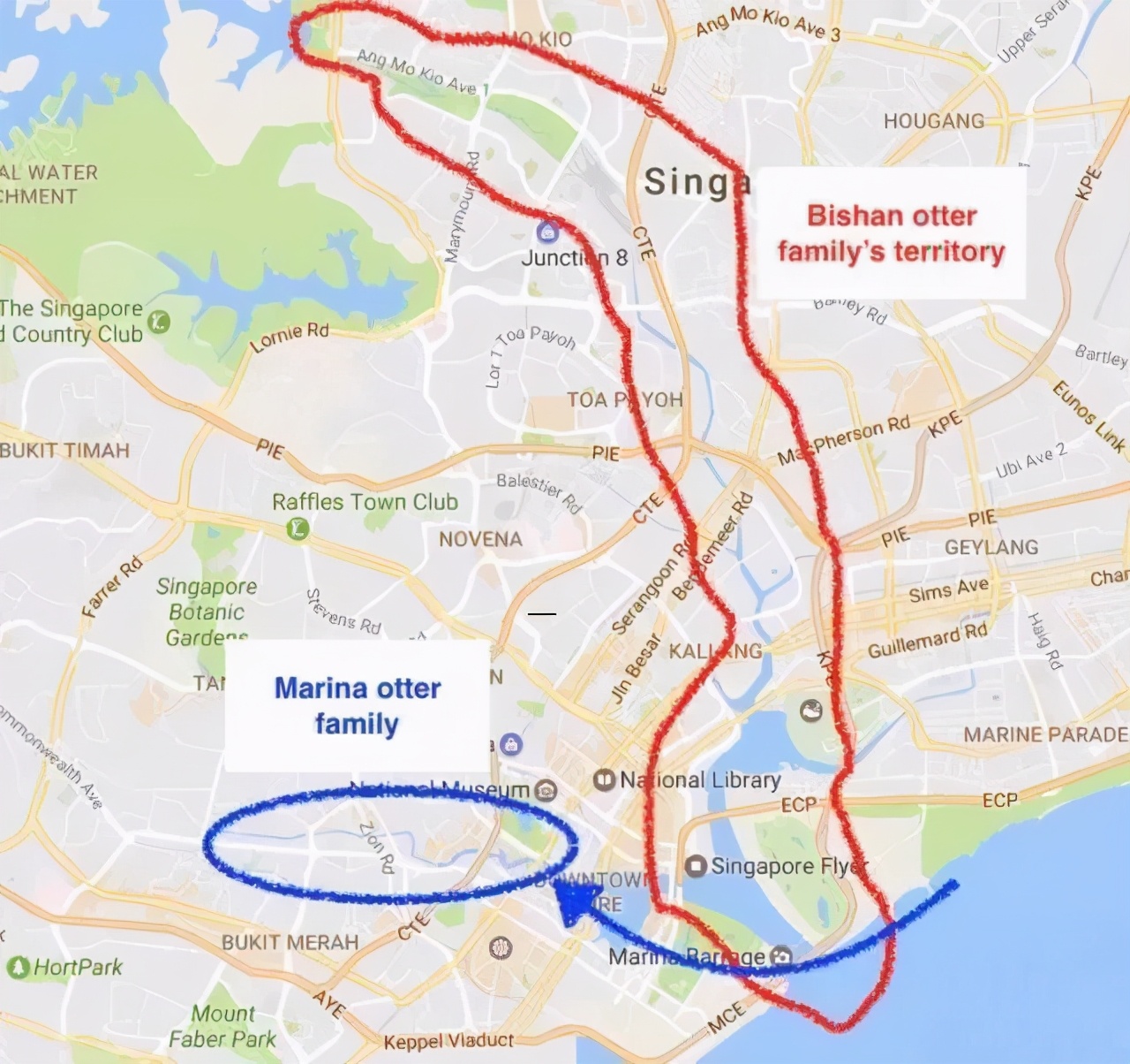 新加坡打架最惨烈的一次,新加坡出租车司机种族冲突