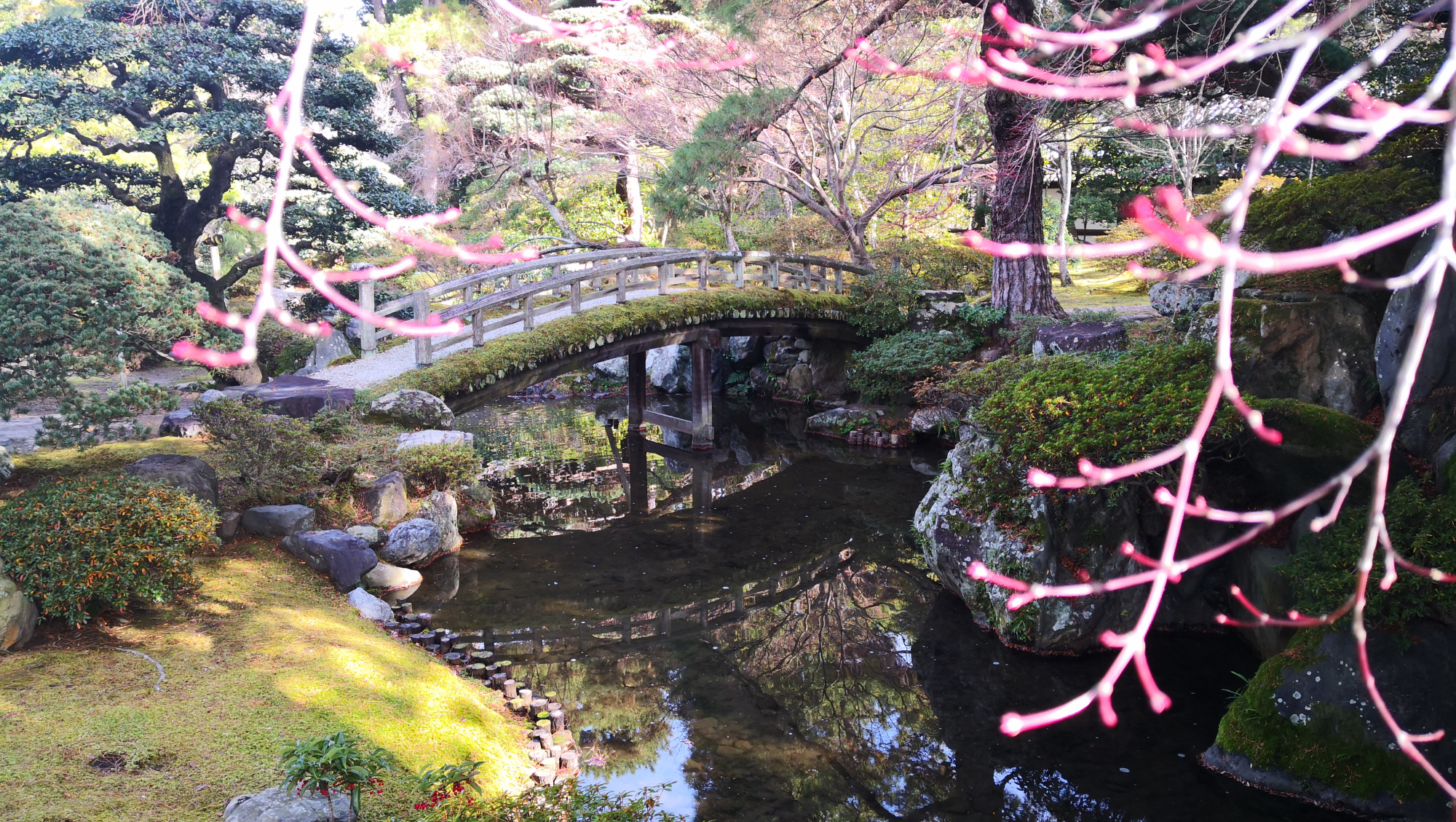 访京都名胜谈芳华变迁,探访日本京瓷