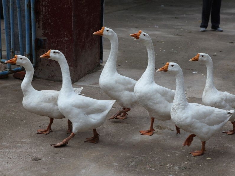 乞丐报恩小说全集,短篇感人小说报恩