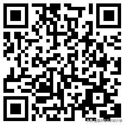 老年大学插花教程,创意插花课