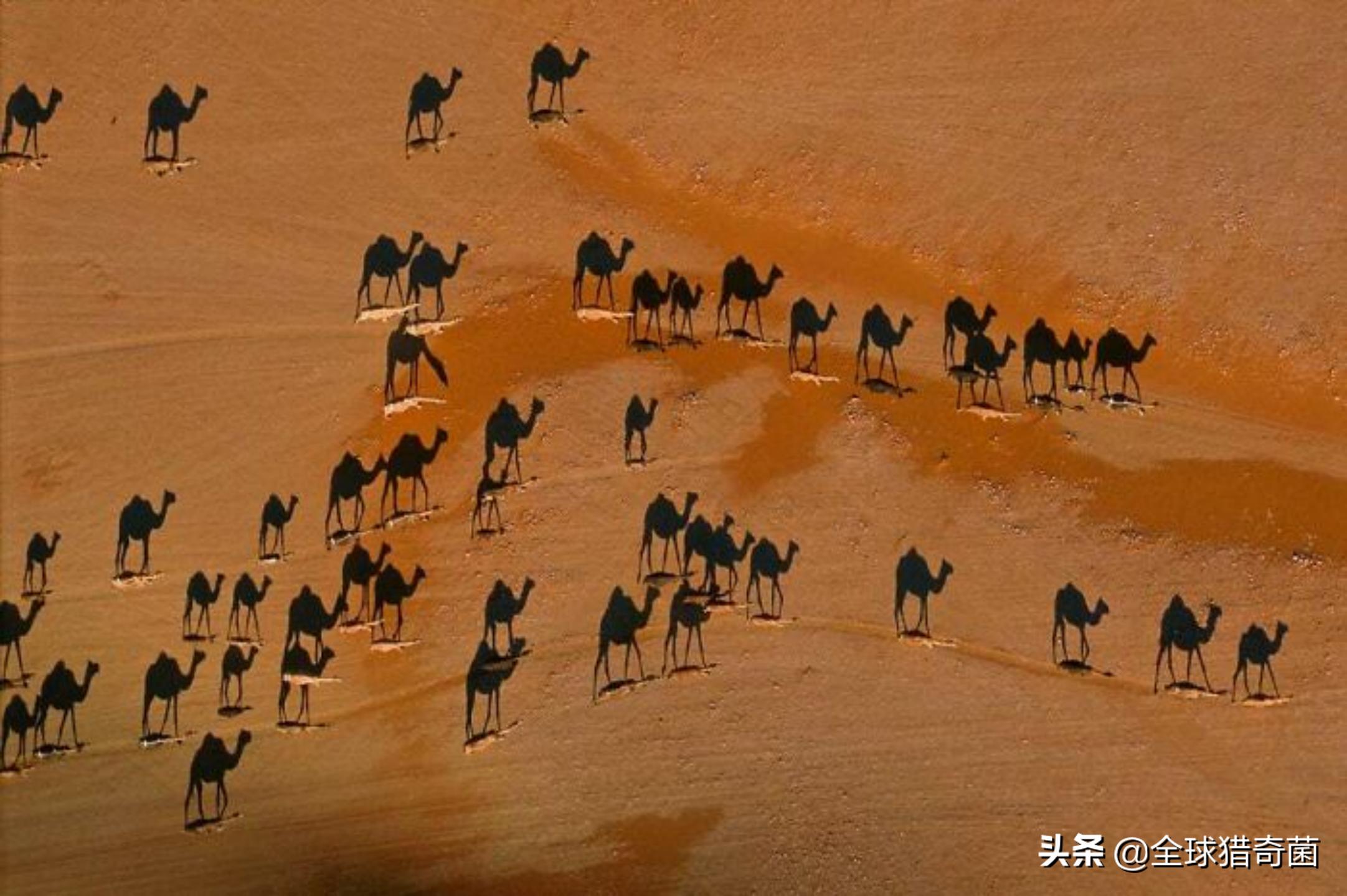 44张难以置信的图片,45张令人难以置信的图