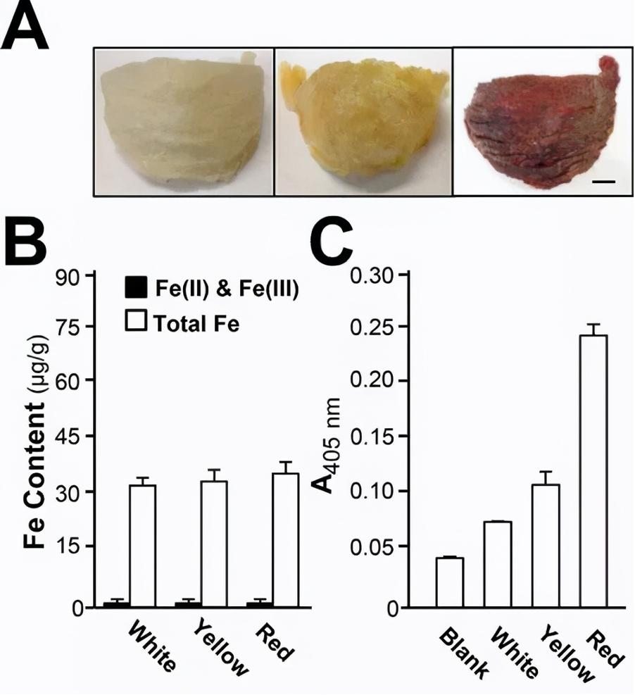燕窝是不是智商税,燕窝能提高智商吗