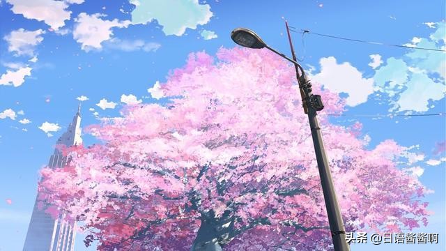 动漫中的常见日语你都会说吗,动漫中的日语你知道哪些